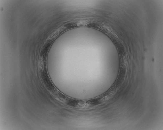 X0000075390311200609251224