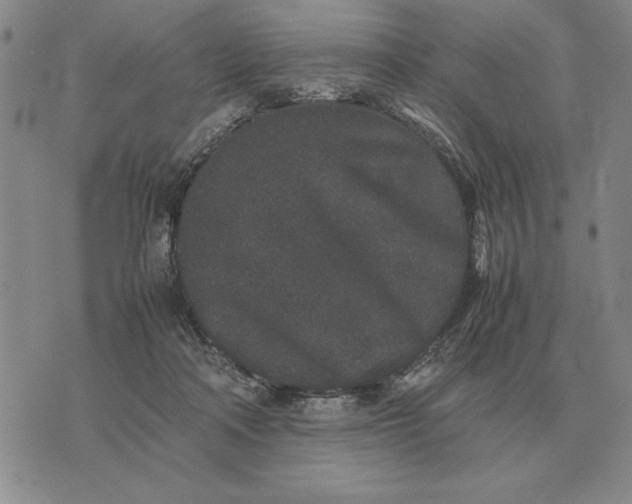 X0000075390314200609251224