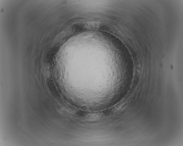 X0000075390323200609251224
