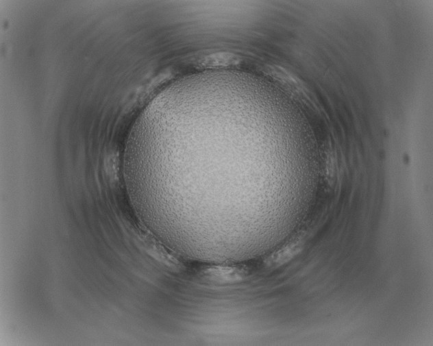 X0000075390326200609251224