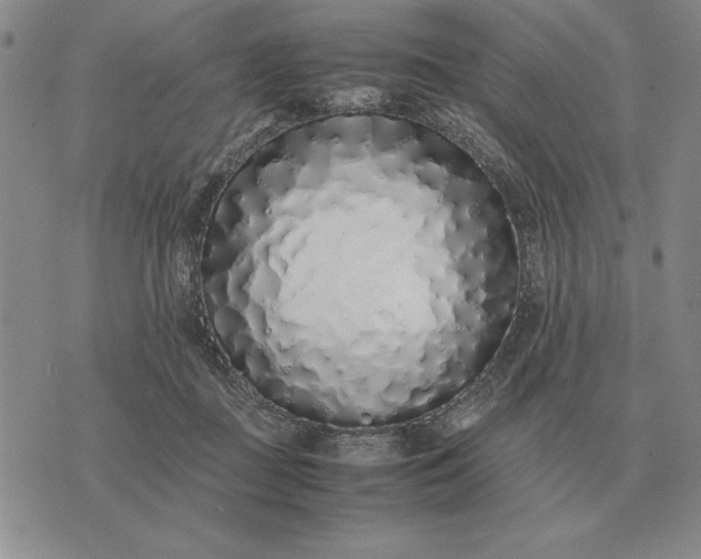 X0000075390363200609251223