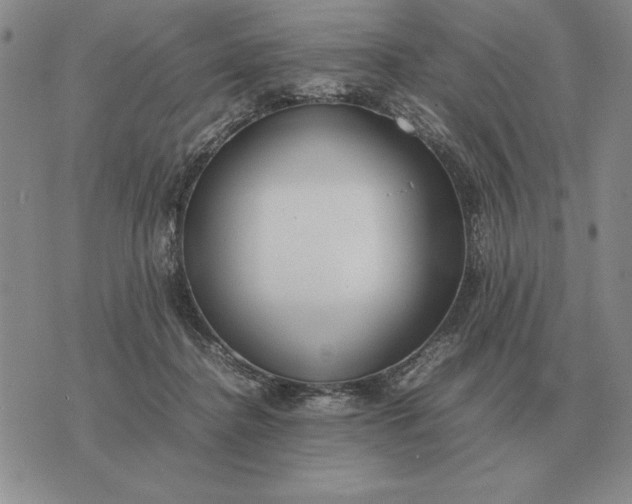 X0000075390364200609251223