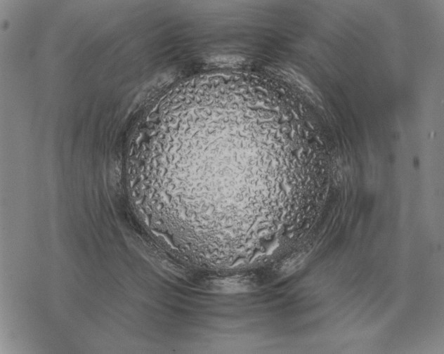 X0000075390365200609251223
