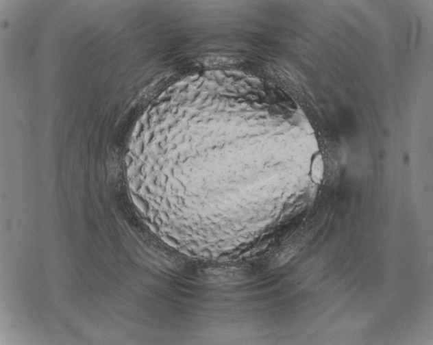 X0000075390367200609251223