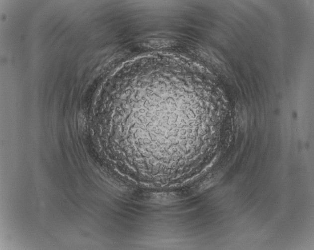 X0000075390371200609251224