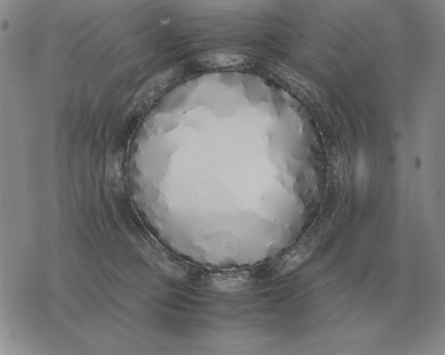 X0000075390373200609251224