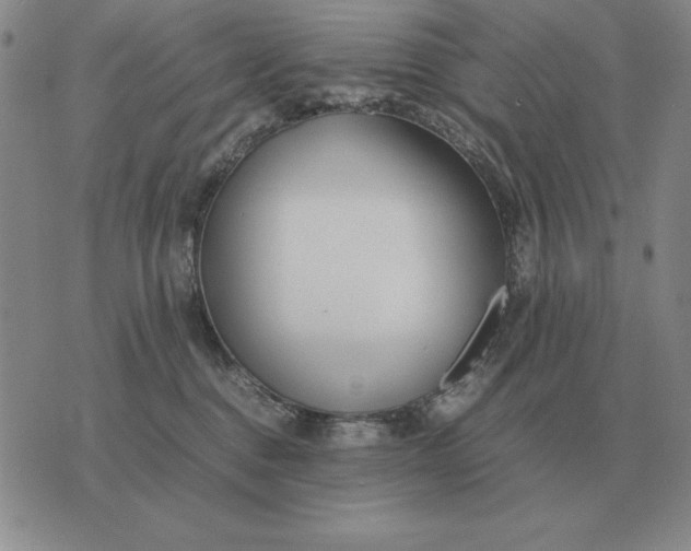 X0000075390376200609251224