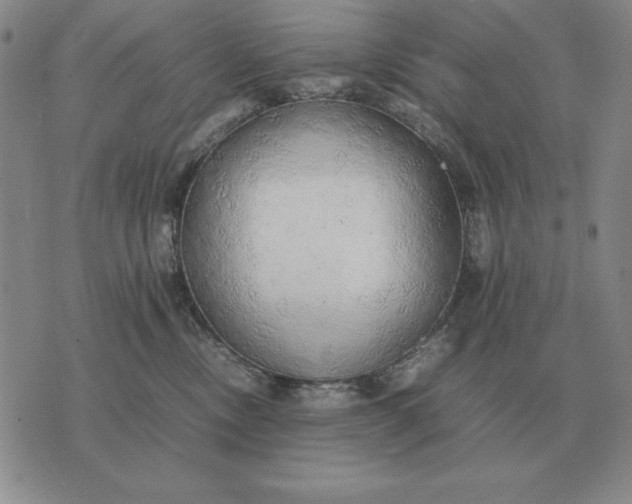 X0000075390378200609251224