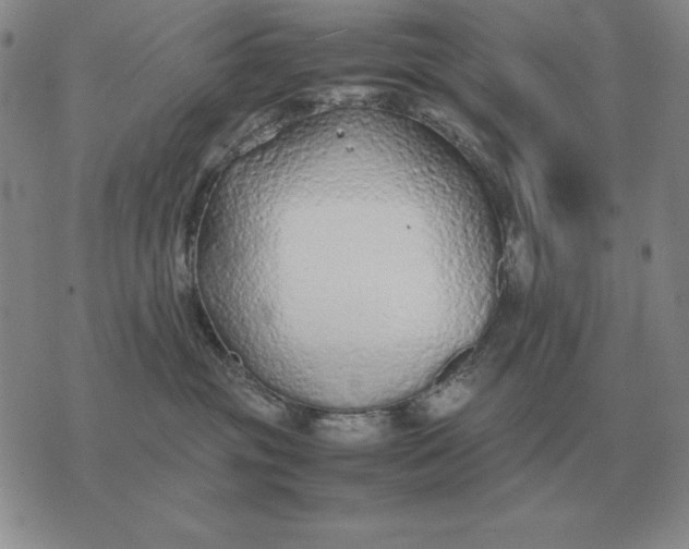 X0000075390381200609251224