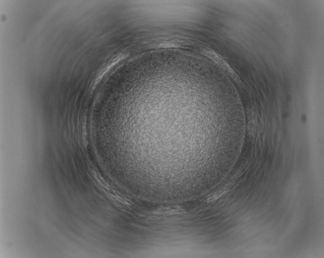 X0000075390386200609251223