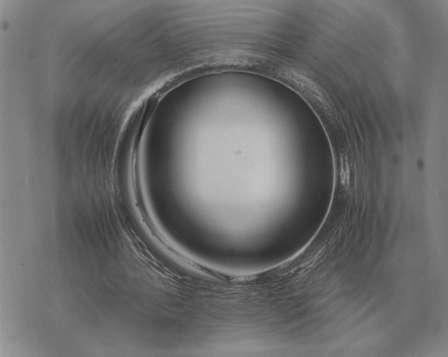X0000075390388200609251223