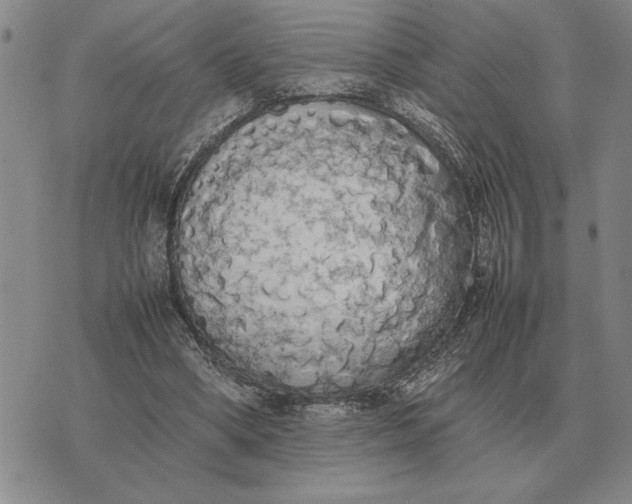 X0000075390394200609251223