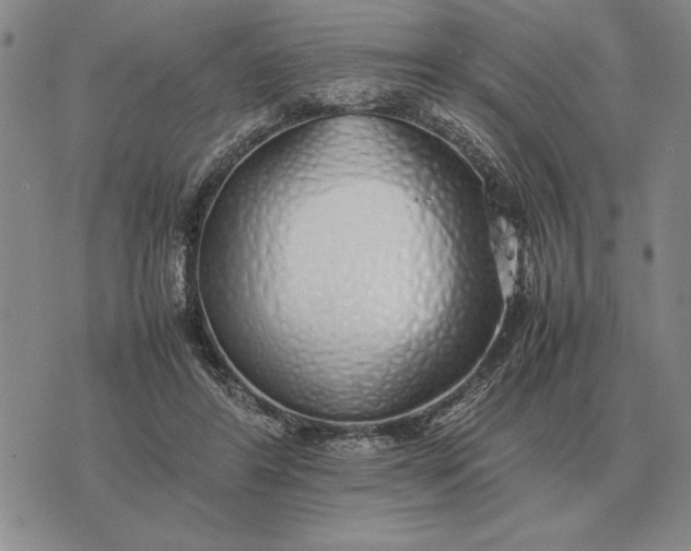 X0000075390404200609251223