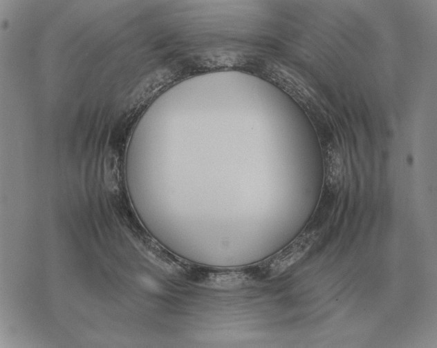 X0000075390414200609251222