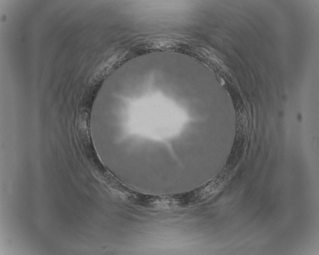 X0000075390415200609251222