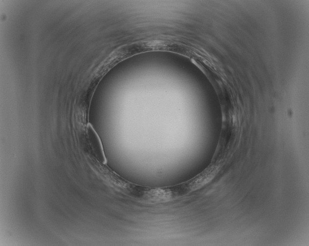 X0000075390421200609251222