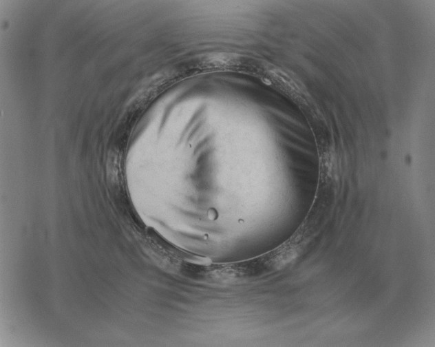 X0000075390423200609251222