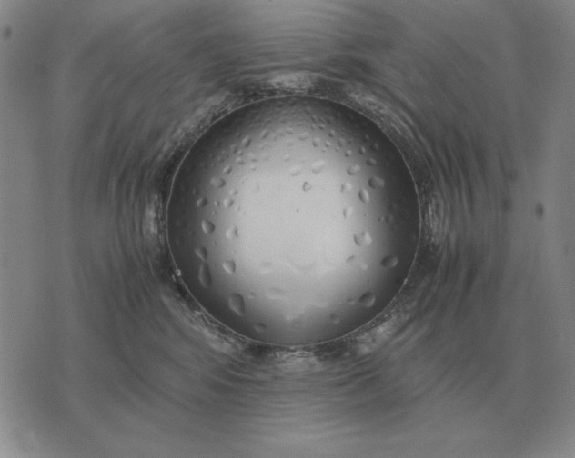 X0000075390424200609251222
