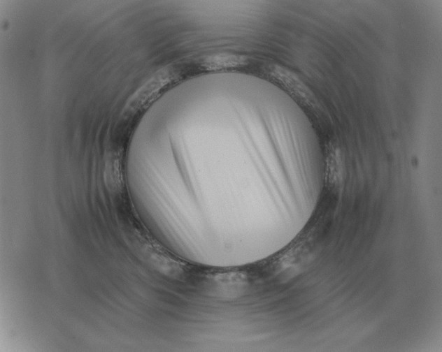 X0000075390426200609251222