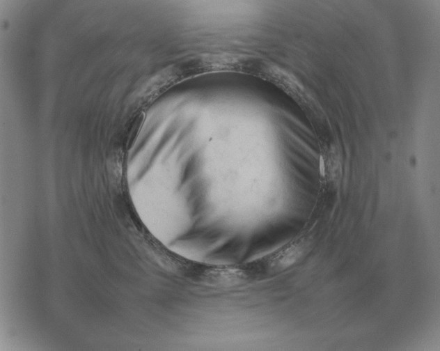 X0000075390427200609251222