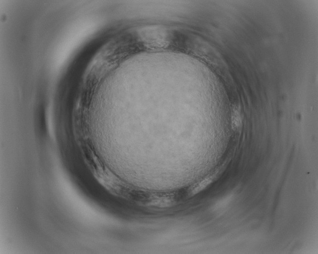 X0000075390431200609251222
