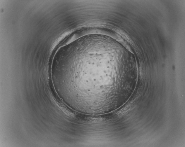 X0000075390438200609251221