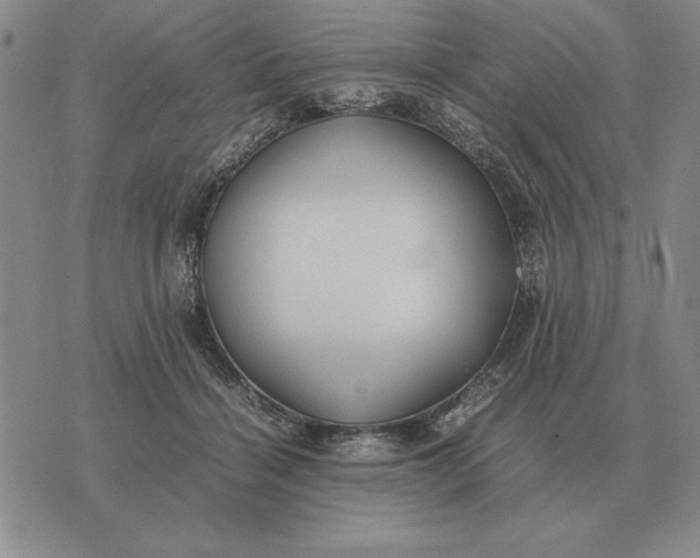 X0000075390460200609251222