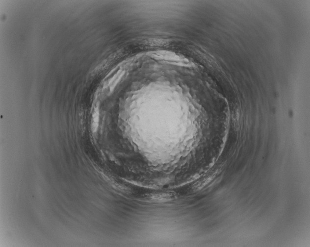 X0000075390462200609251222