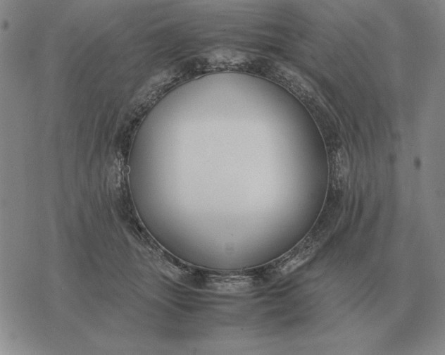 X0000075390463200609251222