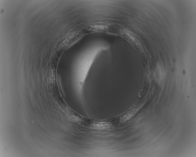 X0000075390467200609251222