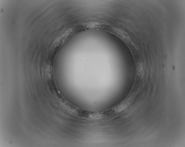 X0000075390470200609251222