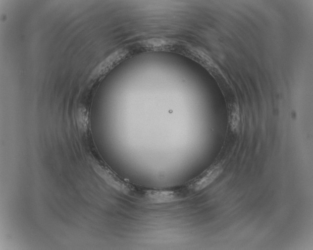X0000075390476200609251222
