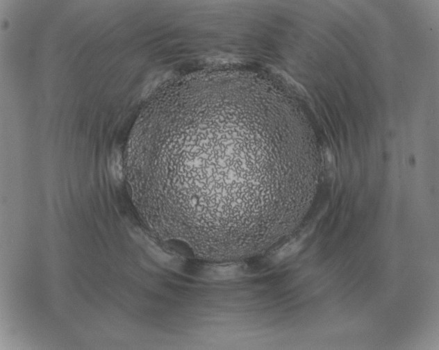 X0000075390479200609251222