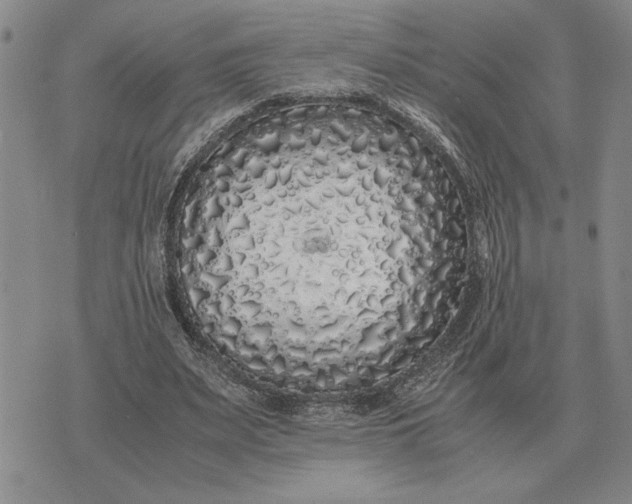 X0000075390487200609251221