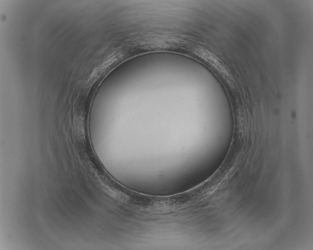 X0000075390489200609251221