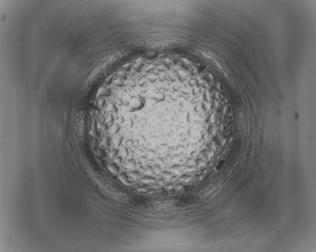 X0000075390495200609251221