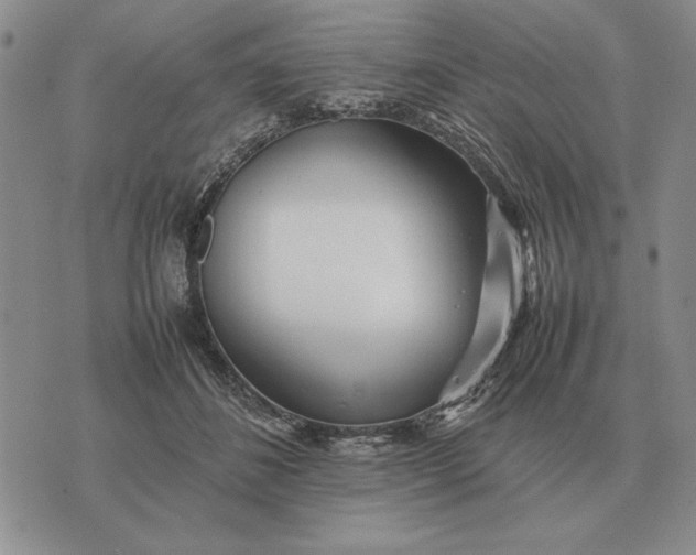 X0000075390508200609251221