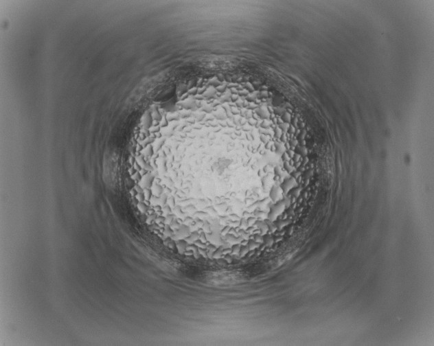 X0000075390511200609251221