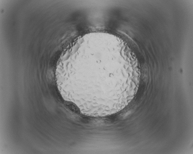 X0000075390523200609251221
