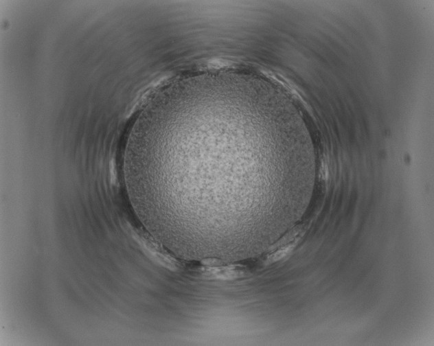 X0000075390524200609251221
