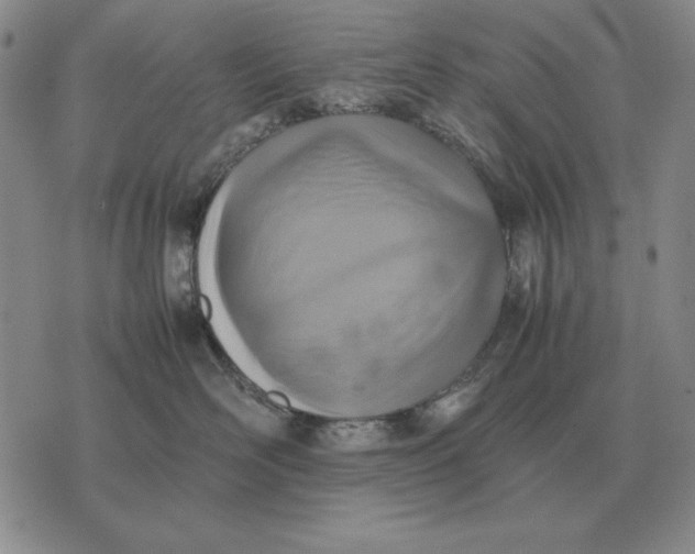 X0000075390526200609251221