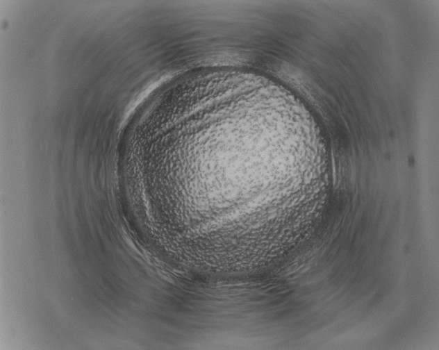 X0000075390531200609251220