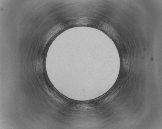 X0000075390534200609251220