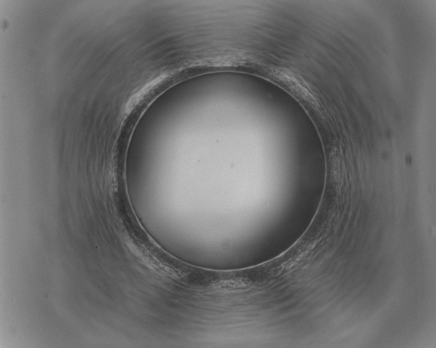 X0000075390536200609251220