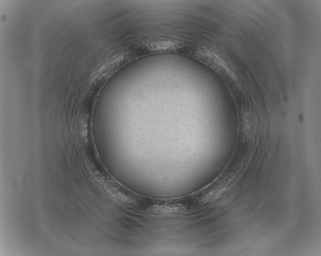 X0000075390545200609251220