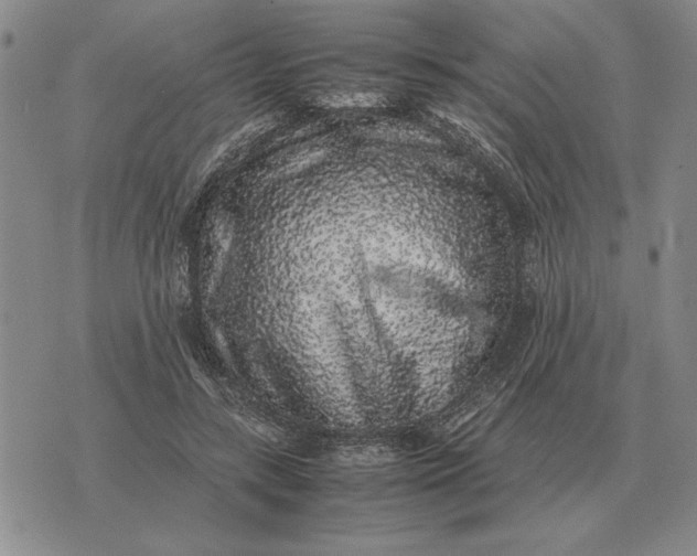 X0000075390547200609251220