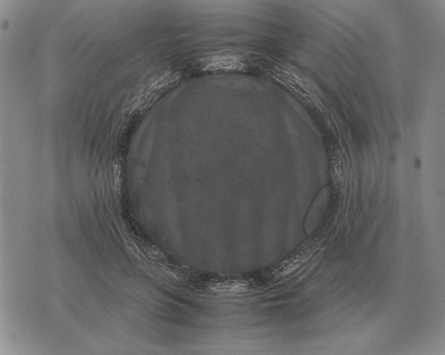X0000075390551200609251220