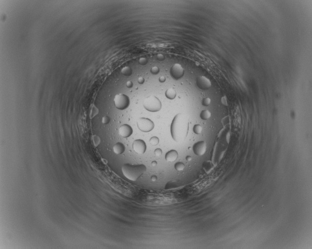 X0000075390559200609251220