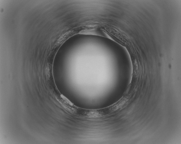 X0000075390562200609251220