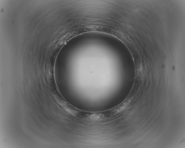 X0000075390566200609251220
